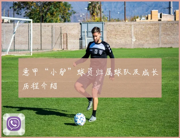 意甲“小驴”球员归属球队及成长历程介绍